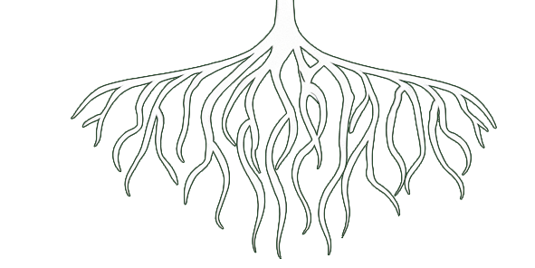 Tree Roots
